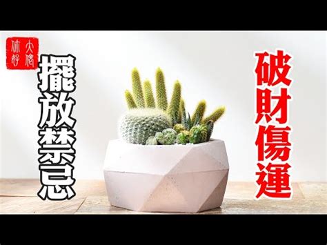 仙人掌風水陽台